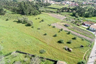 Terreno para Venda em Lavos