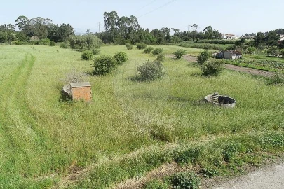 Terreno para Venda em Lavos