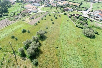 Terreno para Venda em Lavos
