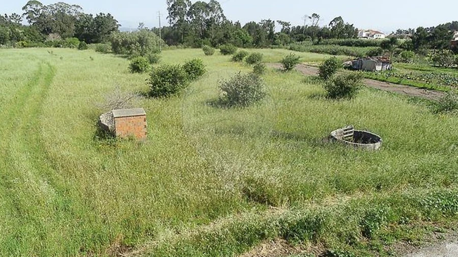 Terreno para Venda em Lavos