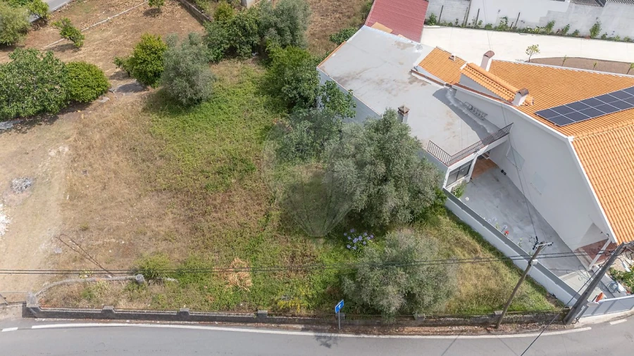 Terreno para Venda em Eiras e São Paulo de Frades Foto 11