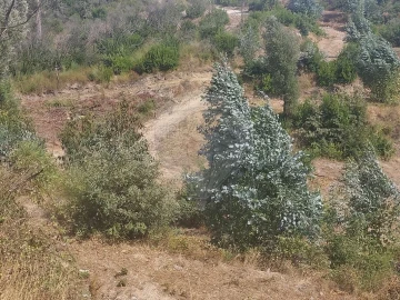 Terreno para Venda em Povoa de Midões