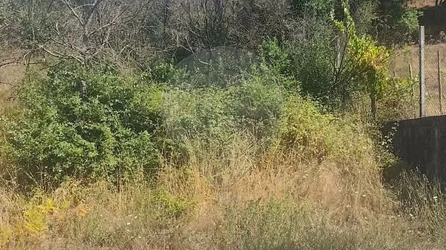 Terreno para Venda em Povoa de Midões