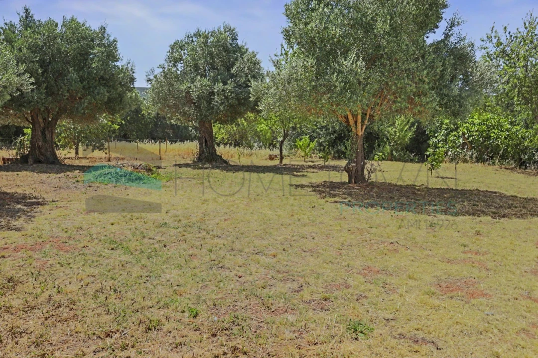 Terreno Agricola ou Rústico para Venda em Salir Foto 1