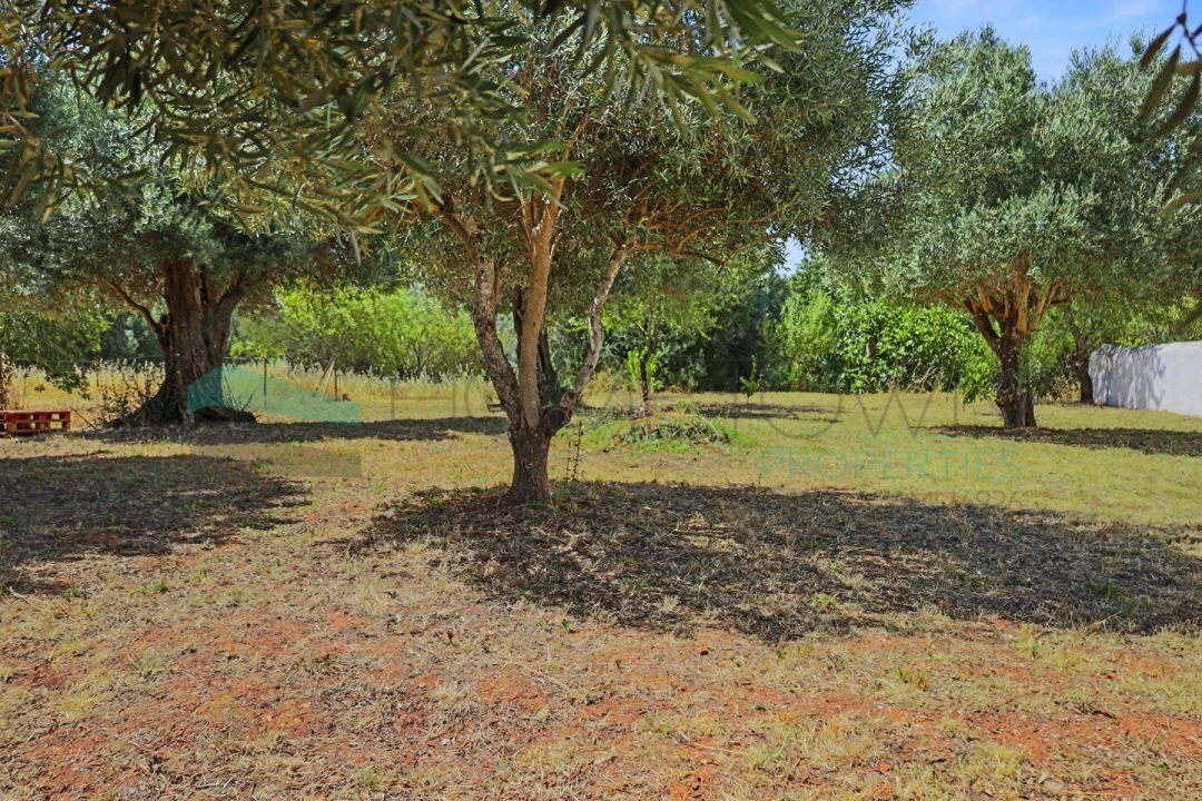 Terreno Agricola ou Rústico para Venda em Salir Foto 5