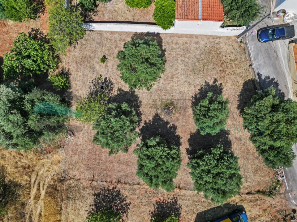 Terreno Agricola ou Rústico para Venda em Salir Foto 3