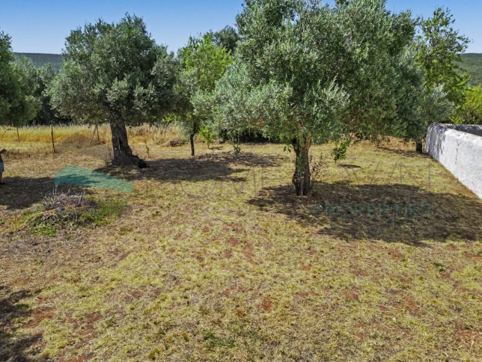 Terreno Agricola ou Rústico para Venda em Salir Foto 6