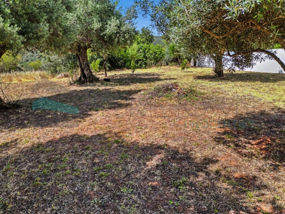 Terreno Agricola ou Rústico para Venda em Salir Foto 9