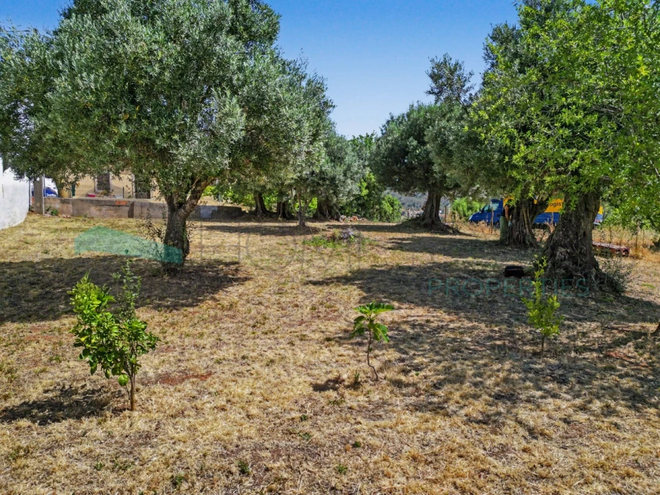 Terreno Agricola ou Rústico para Venda em Salir Foto 12
