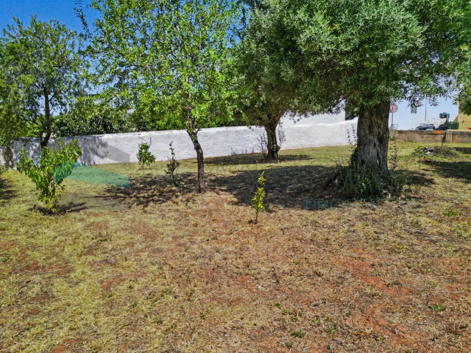 Terreno Agricola ou Rústico para Venda em Salir Foto 13