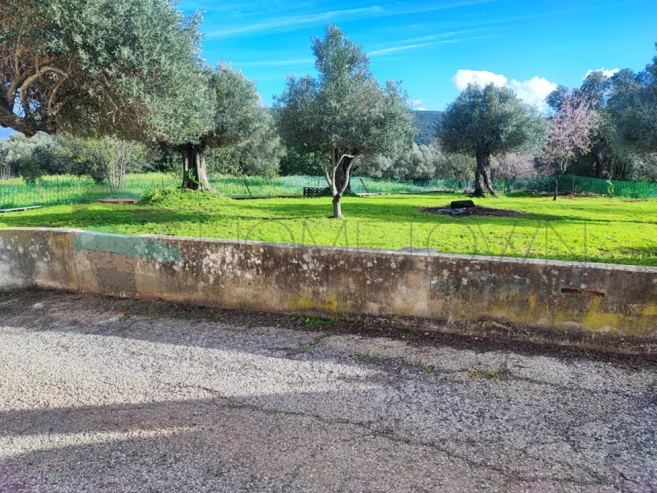 Terreno Agricola ou Rústico para Venda em Salir Foto 4