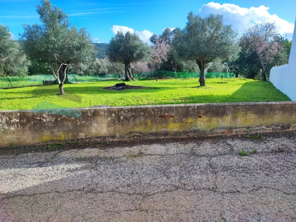 Terreno Agricola ou Rústico para Venda em Salir Foto 15
