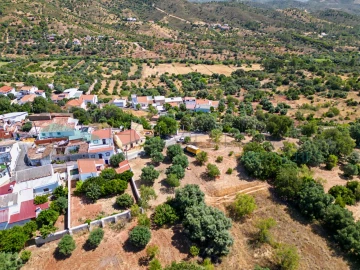 Terreno Agricola ou Rústico para Venda em Salir