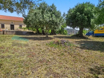 Terreno Agricola ou Rústico para Venda em Salir