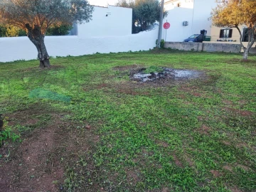 Terreno Agricola ou Rústico para Venda em Salir