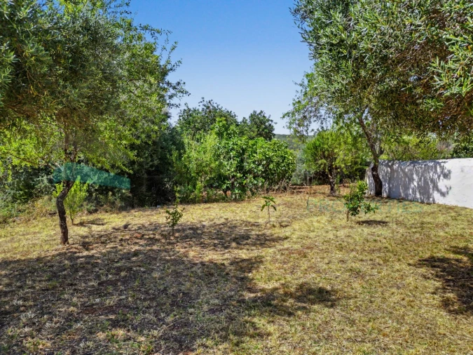 Terreno Agricola ou Rústico para Venda em Salir Foto 16