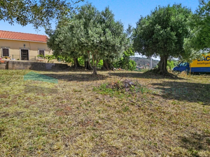 Terreno Agricola ou Rústico para Venda em Salir Foto 17
