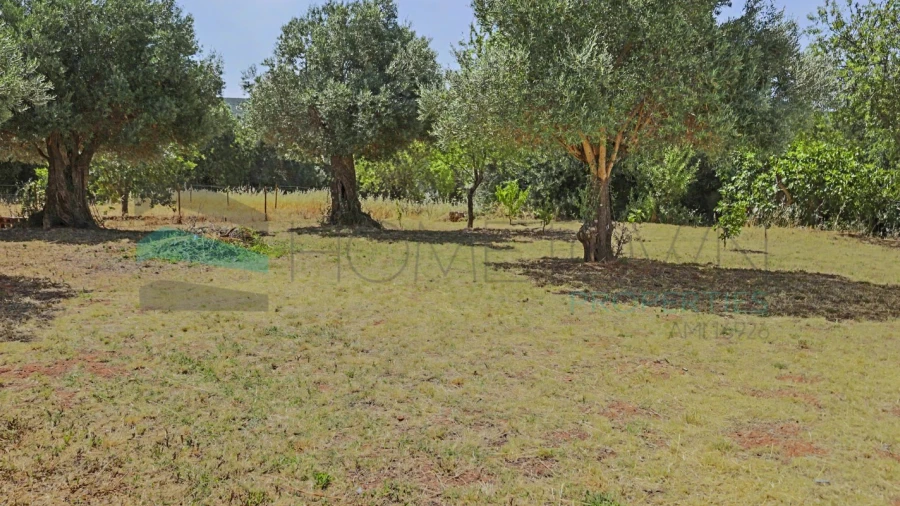 Terreno Agricola ou Rústico para Venda em Salir