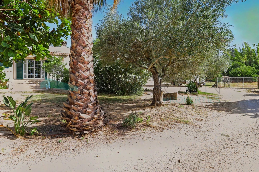 Moradia T3 para Venda em Luz de Tavira e Santo Estêvão Foto 28