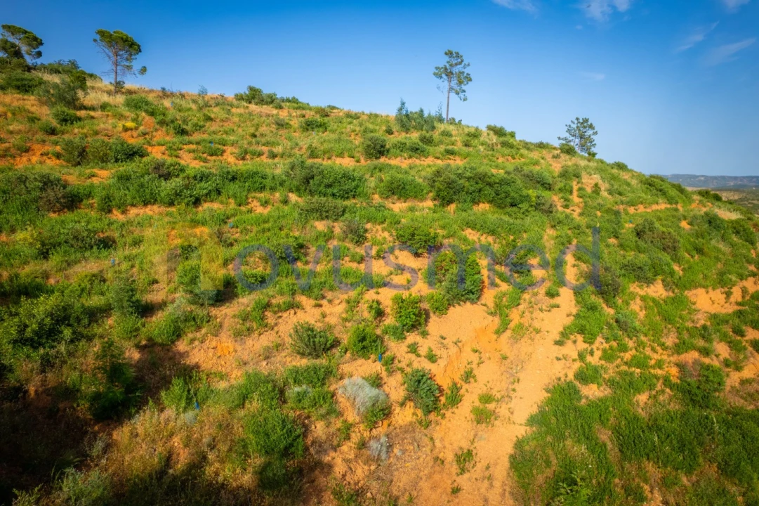 Terreno para Venda em Monchique Foto 25