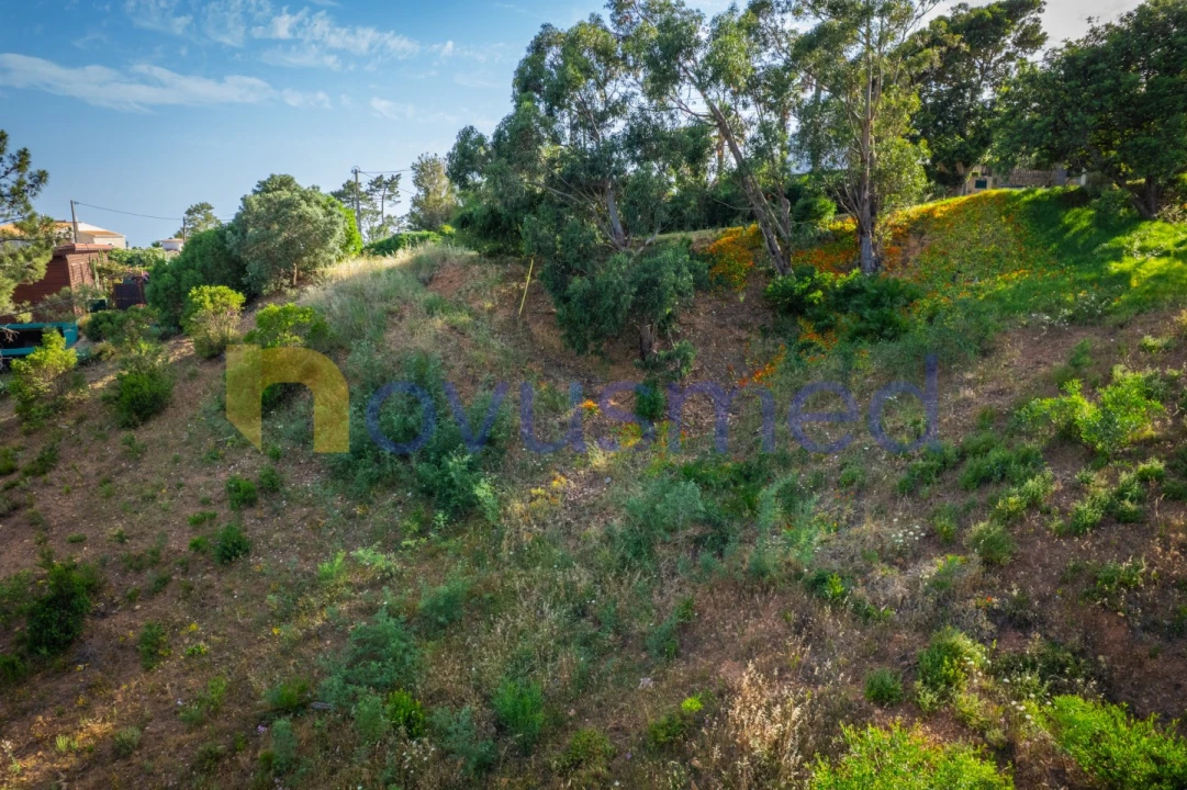 Terreno para Venda em Monchique Foto 27