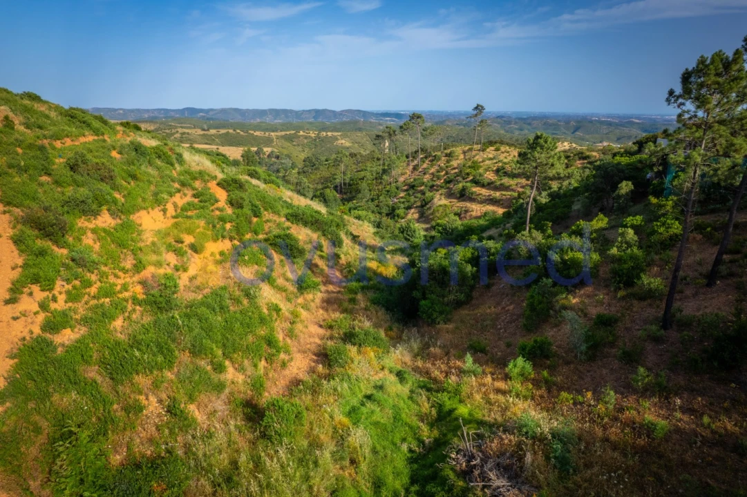 Terreno para Venda em Monchique Foto 30