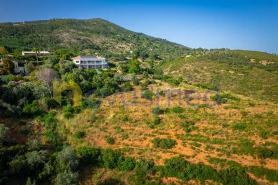Terreno para Venda em Monchique
