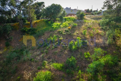 Terreno para Venda em Monchique