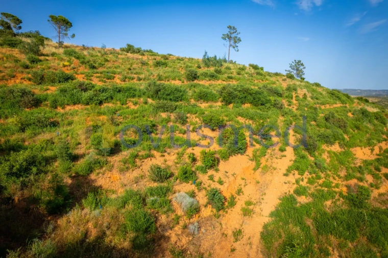 Terreno para Venda em Monchique Foto 25