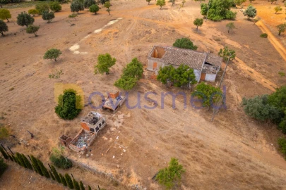 Moradia T3 para Venda em Guia