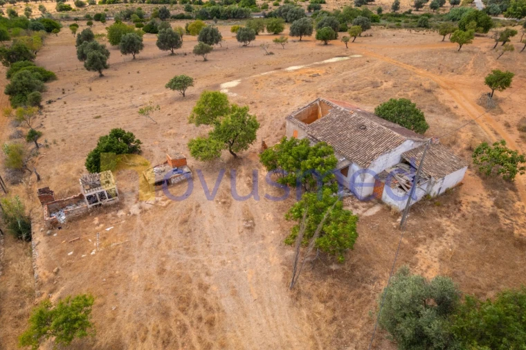 Moradia T3 para Venda em Guia Foto 32