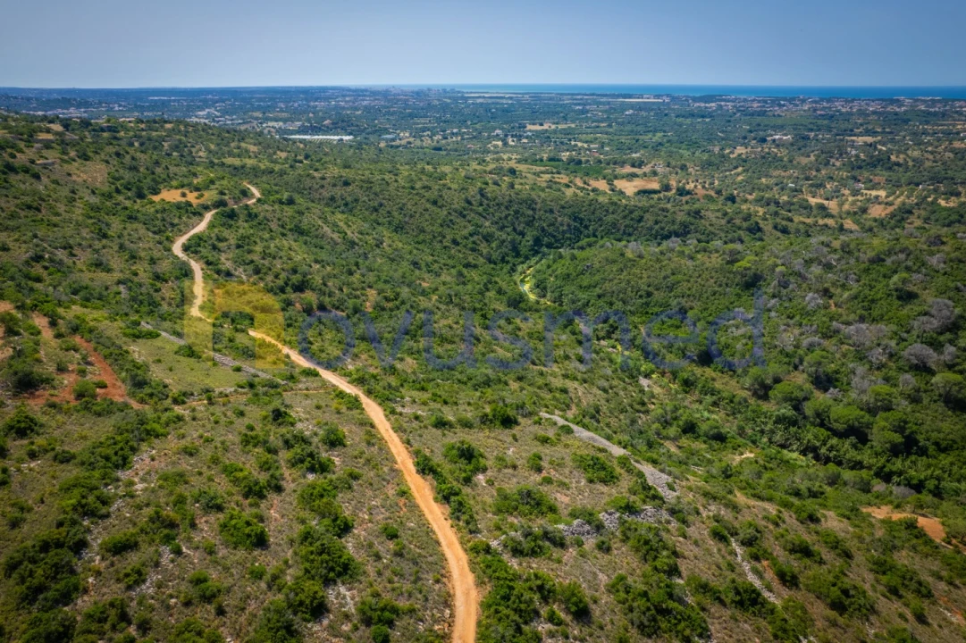 Terreno Agricola ou Rústico para Venda em Boliqueime Foto 1