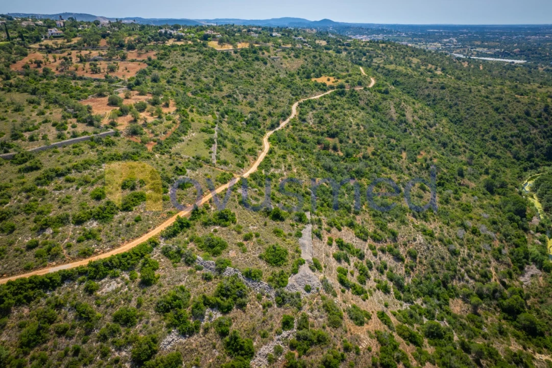 Terreno Agricola ou Rústico para Venda em Boliqueime Foto 2