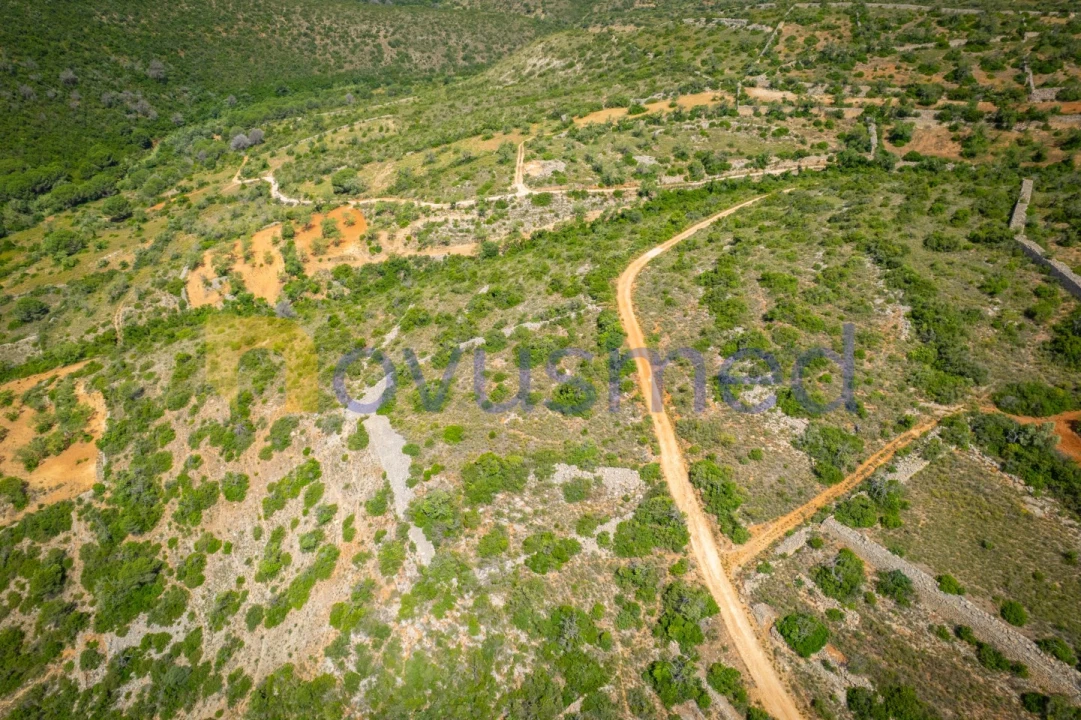 Terreno Agricola ou Rústico para Venda em Boliqueime Foto 6