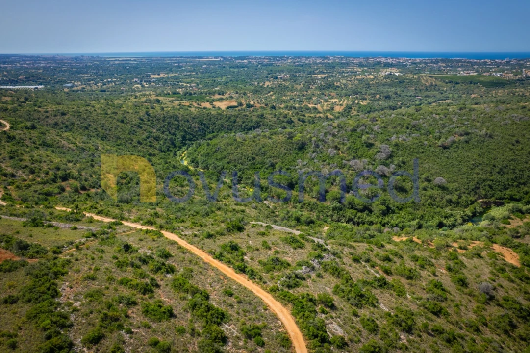 Terreno Agricola ou Rústico para Venda em Boliqueime Foto 7