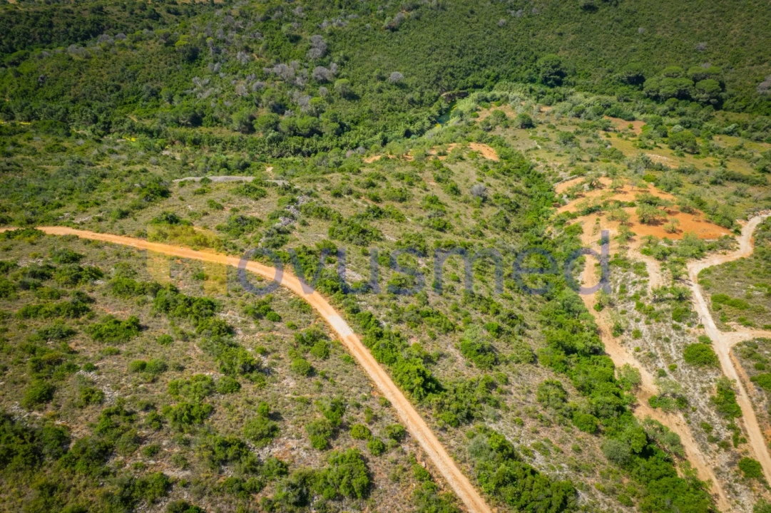 Terreno Agricola ou Rústico para Venda em Boliqueime Foto 8