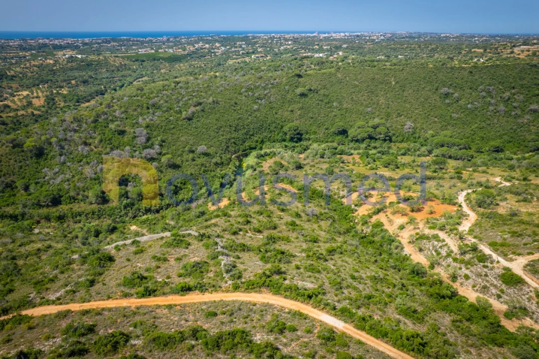 Terreno Agricola ou Rústico para Venda em Boliqueime Foto 9