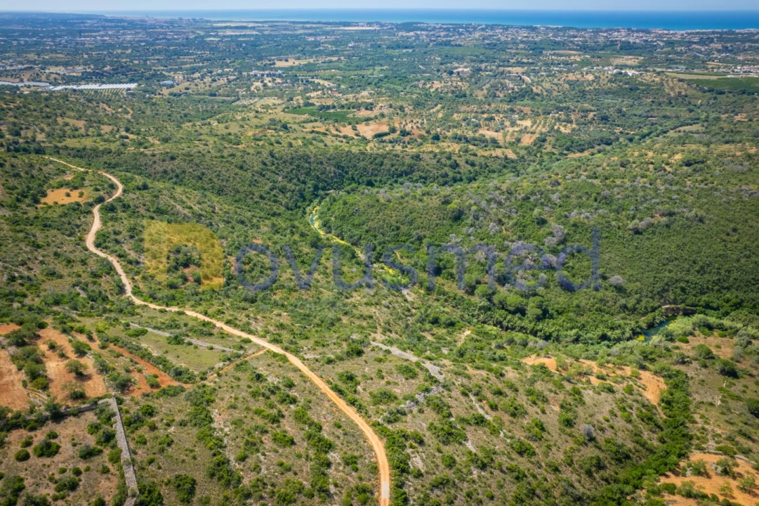 Terreno Agricola ou Rústico para Venda em Boliqueime Foto 13