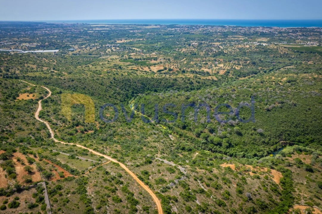 Terreno Agricola ou Rústico para Venda em Boliqueime Foto 14