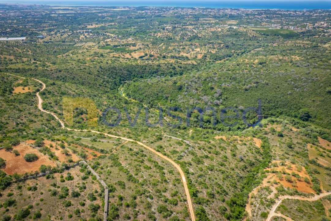 Terreno Agricola ou Rústico para Venda em Boliqueime Foto 16