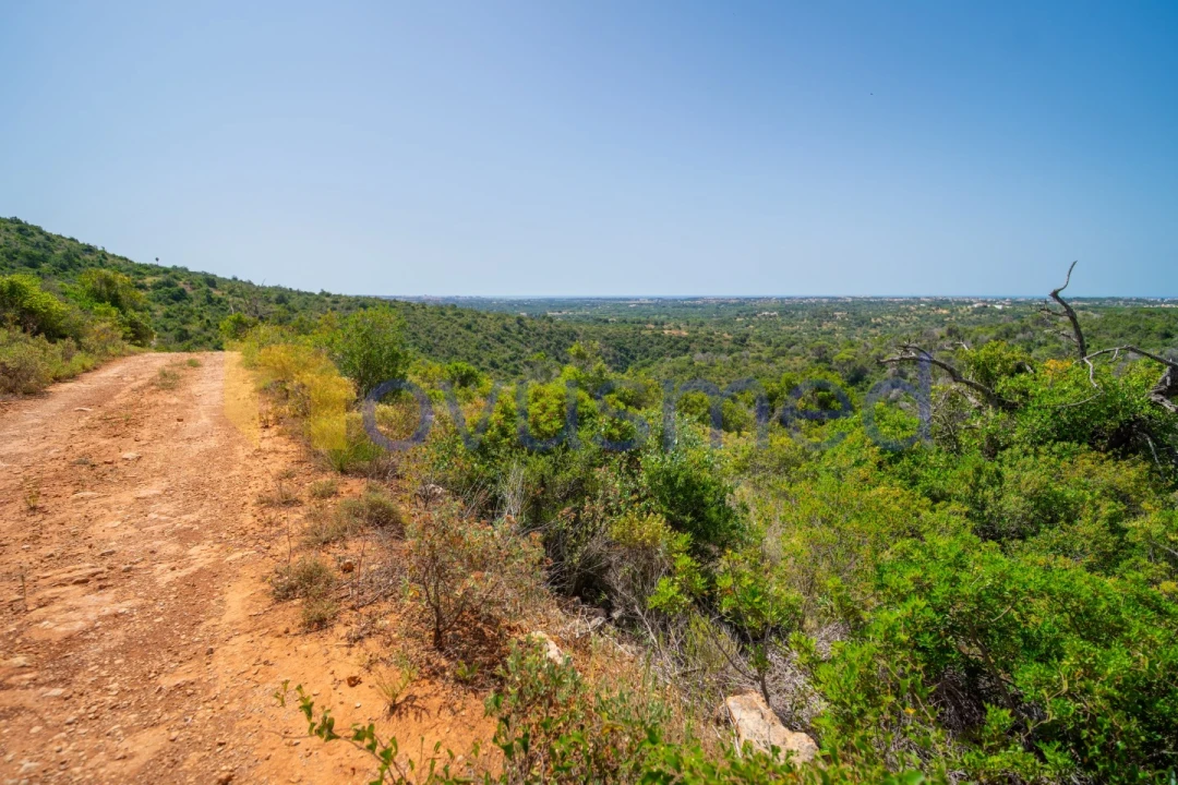 Terreno Agricola ou Rústico para Venda em Boliqueime Foto 17