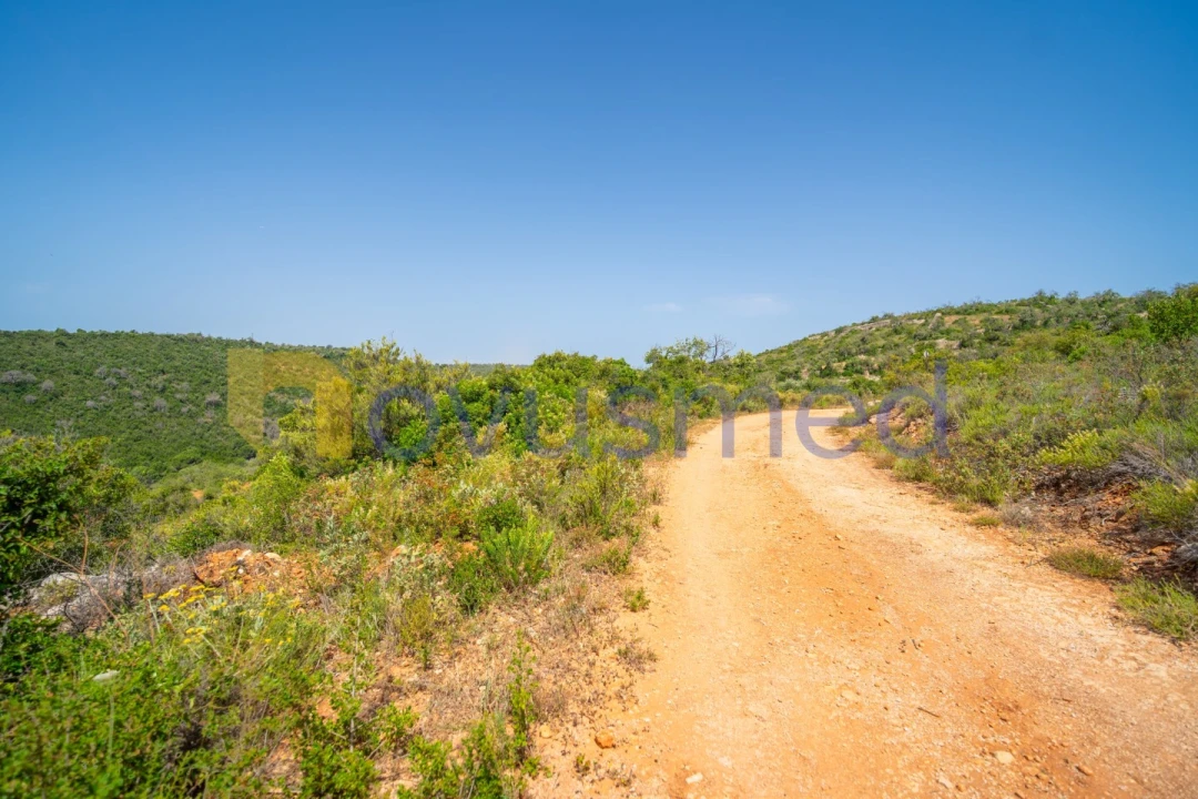 Terreno Agricola ou Rústico para Venda em Boliqueime Foto 20