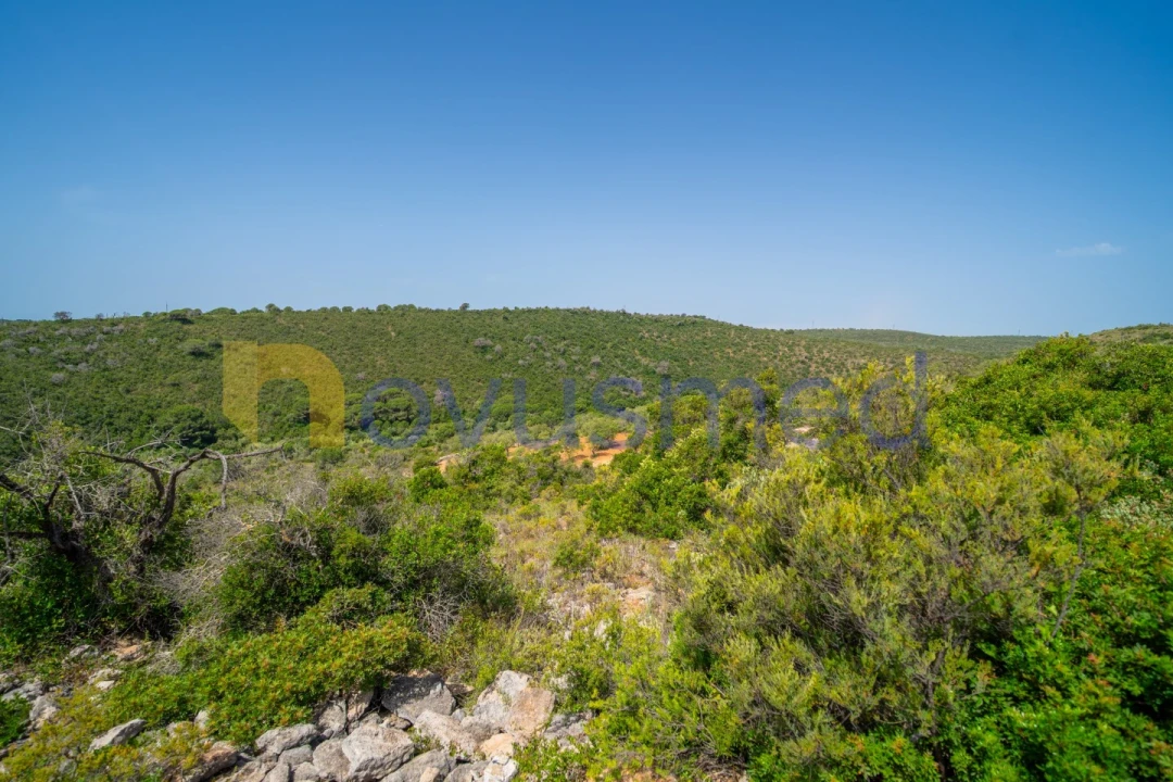 Terreno Agricola ou Rústico para Venda em Boliqueime Foto 23