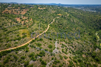 Terreno Agricola ou Rústico para Venda em Boliqueime