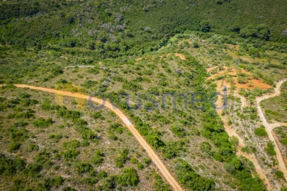 Terreno Agricola ou Rústico para Venda em Boliqueime