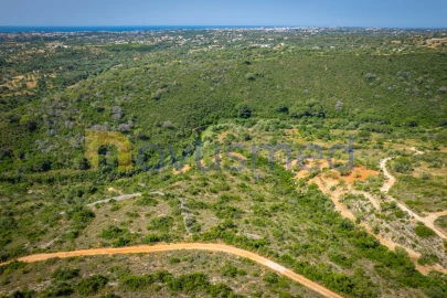 Terreno Agricola ou Rústico para Venda em Boliqueime