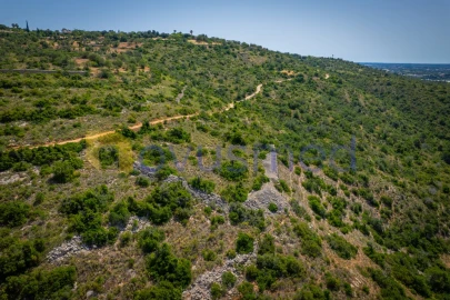 Terreno Agricola ou Rústico para Venda em Boliqueime