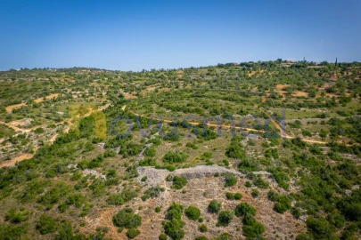 Terreno Agricola ou Rústico para Venda em Boliqueime