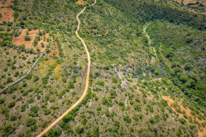 Terreno Agricola ou Rústico para Venda em Boliqueime