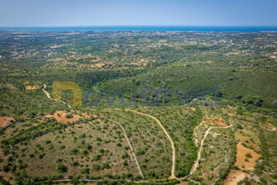 Terreno Agricola ou Rústico para Venda em Boliqueime